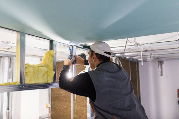 Best Geographic-Specific Insulation Services in Cottonwood, AL