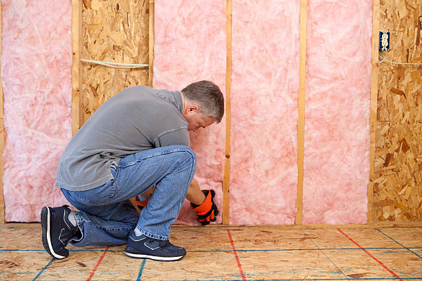 Best Energy Efficiency Insulation in Cottonwood, AL