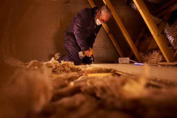 Best Eco-Friendly Insulation in Cottonwood, AL